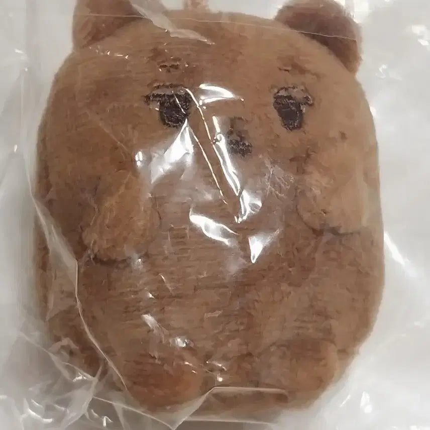 [BUNJANG] EXO Kai Doll / 엑소 카이 인형