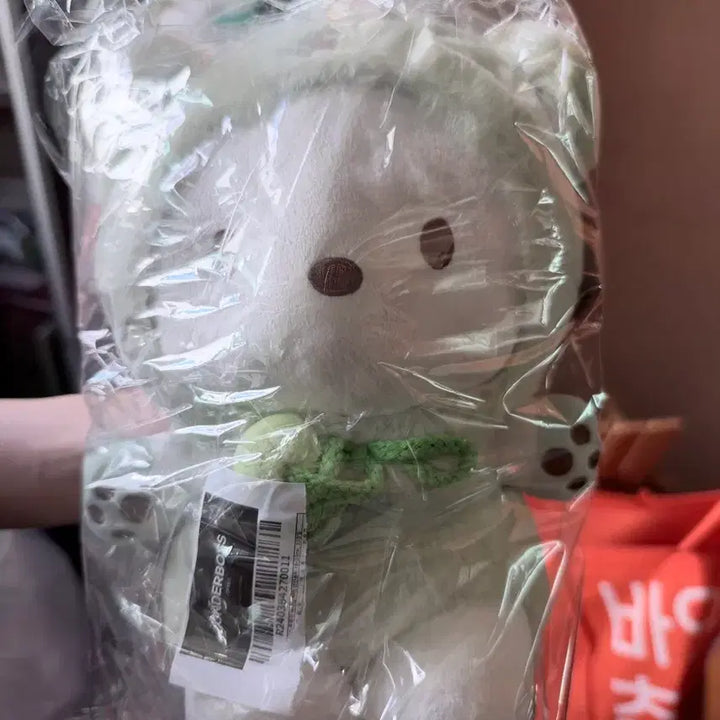 [BUNJANG] Sanrio Pochacco Cat Plush (Sealed) / 산리오 포차코 고양이 인형 (미개봉)