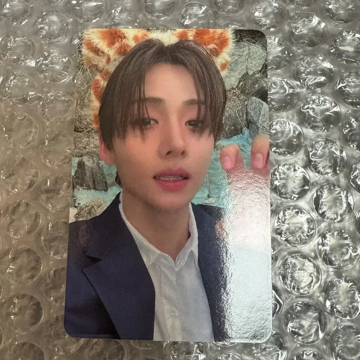 [BUNJANG] ALPHADRIVE1 Sangwon Lucky Draw Photocard / 알디원 상원 미니레코드 포토카드 /알파드라이브원 고양이머리띠 cementic nest 포카 이상원