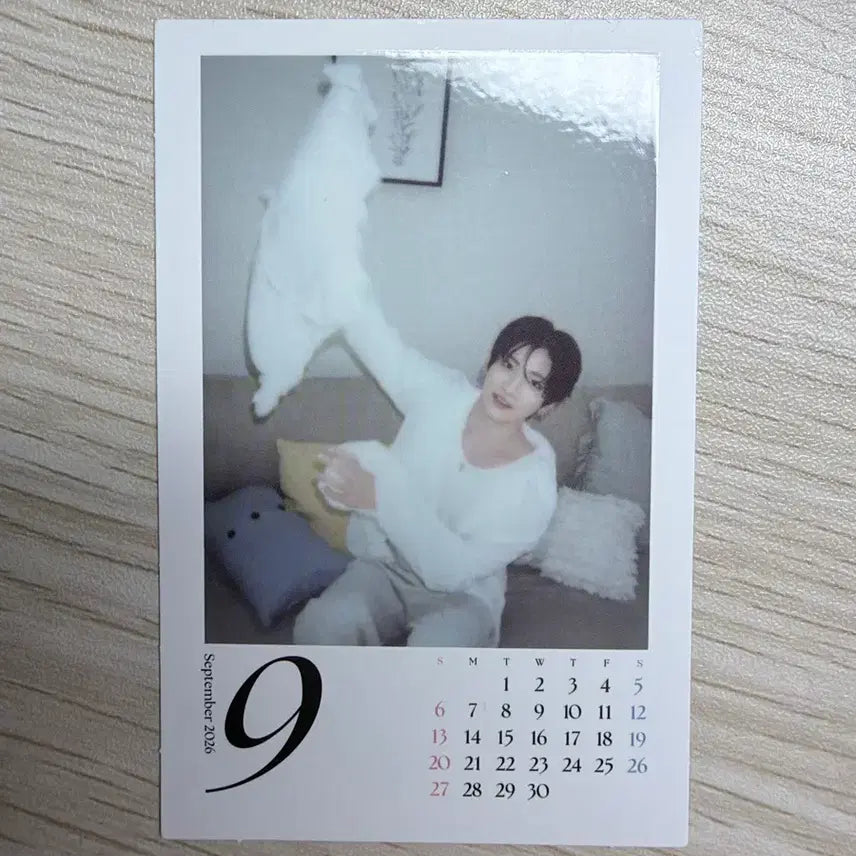 [BUNJANG] &amp;TEAM Back to the Roots Fake Polaroid Bundle Set / 앤팀 백투라 짭폴라 양도 일괄