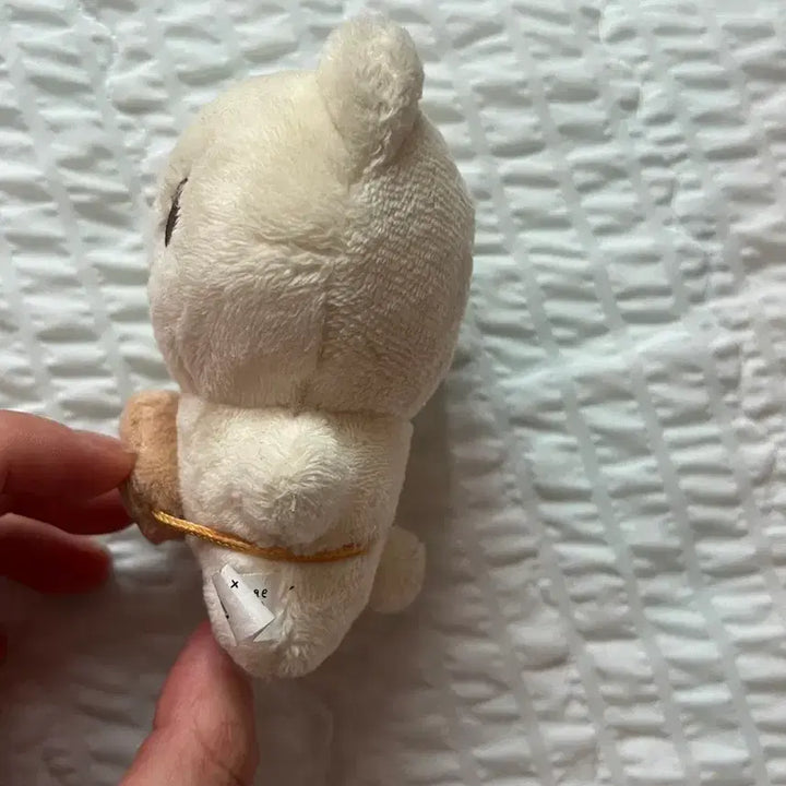 [BUNJANG] ENHYPEN Jungwon Bbangbbang Plush / 엔하이픈 양정원 인형 양짱이 붕어빵