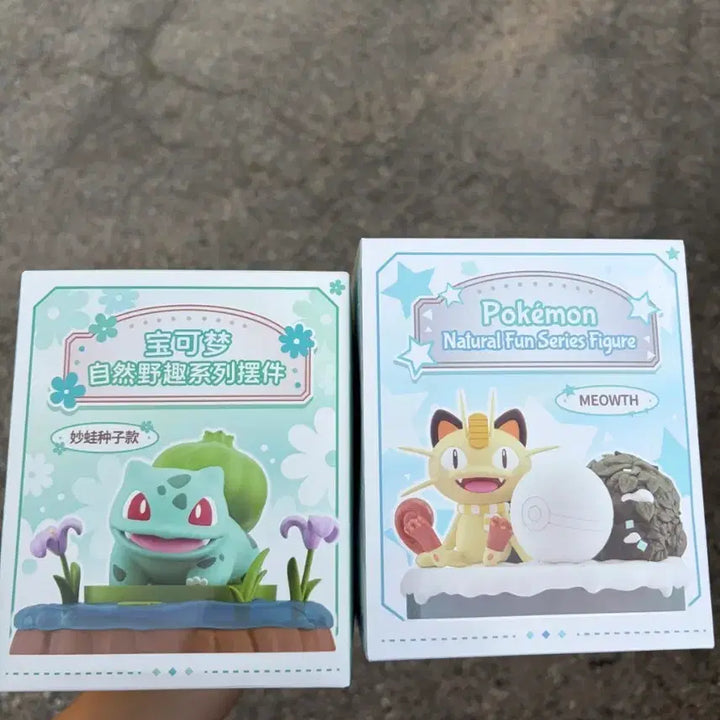 [BUNJANG] Pokemon Squirtle &amp; Meowth Figure Set / 포켓몬스터 피규어 꼬부기/나옹