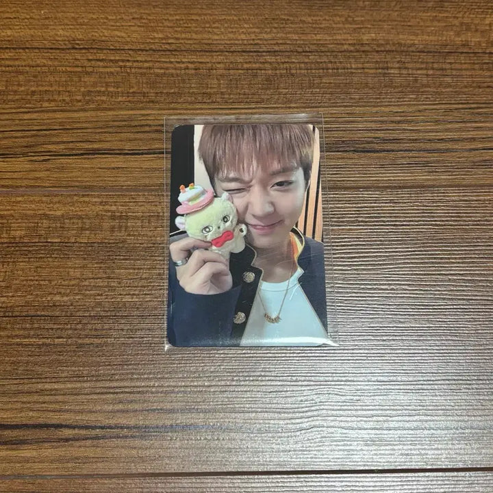 [BUNJANG] Park Jihoon Soundwave Lucky Draw Photocard / 박지훈 소심이 사운드웨이브 팝업 특전 포카 포토카드 미공포