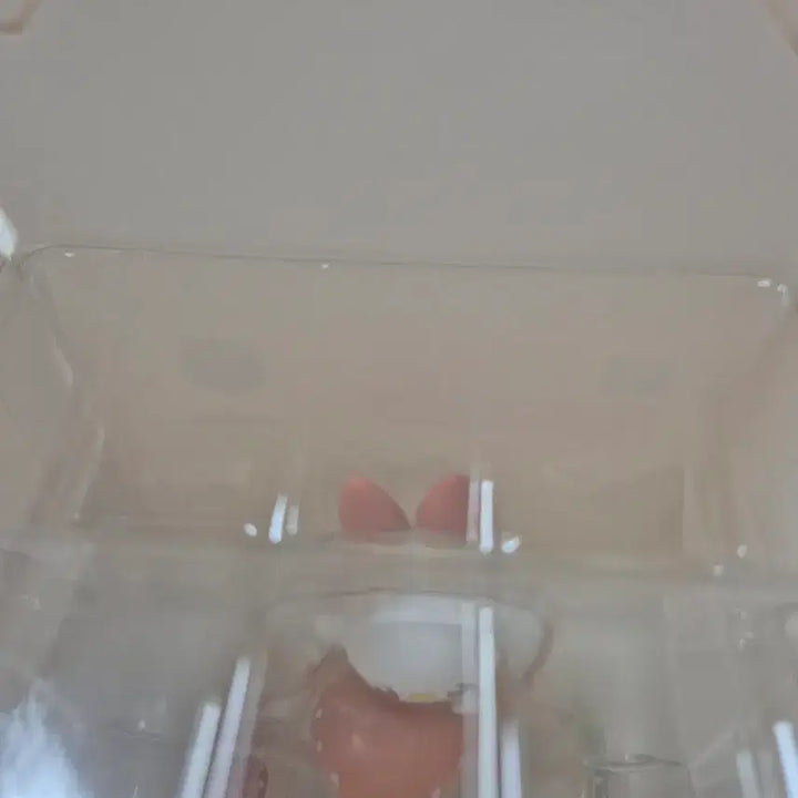 [BUNJANG] Yeom Bunny Figure / 염버니 피규어