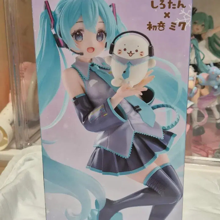 [BUNJANG] FURYU Hatsune Miku Shirotan Figure (Sealed) / 미개봉 후류 하츠네 미쿠 시로탄 피규어