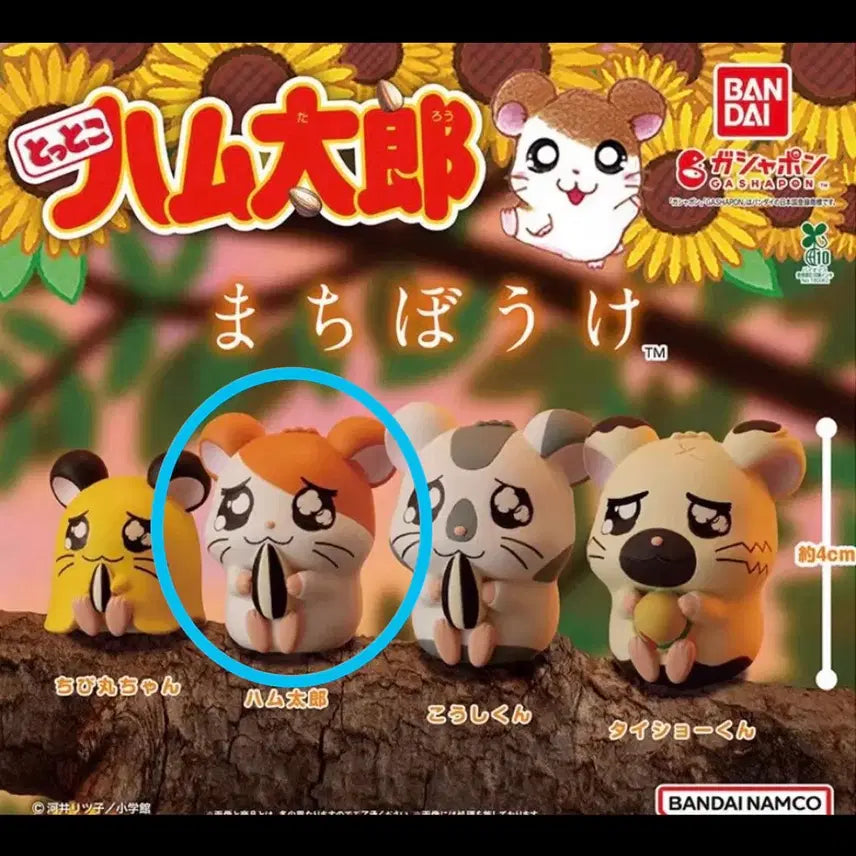 [BUNJANG] Hamtaro Hamtaro Marching Box Gacha Toy (Sealed) / 미개봉) 방가방가 햄토리 마치보우케 언제오려나 가챠