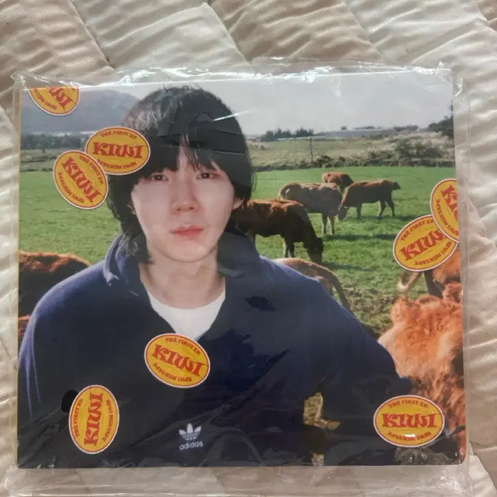 [BUNJANG] B.I MIXTAPE KIWI CD (Sealed) / 호피폴라 아일 앨범 cd  KIWI  MIXTAPE [미개봉]