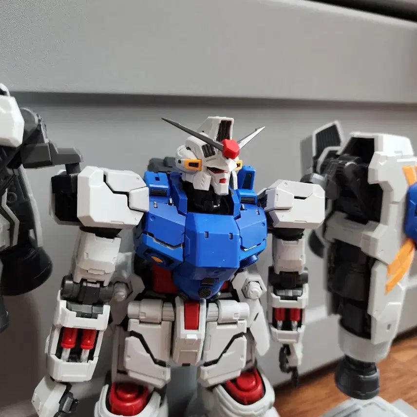 [BUNJANG] Solomon Model GP02 Physalis  / 솔로몬모형 사이살리스 gp02 가조