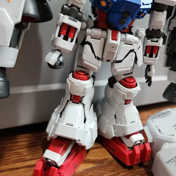 [BUNJANG] Solomon Model GP02 Physalis  / 솔로몬모형 사이살리스 gp02 가조