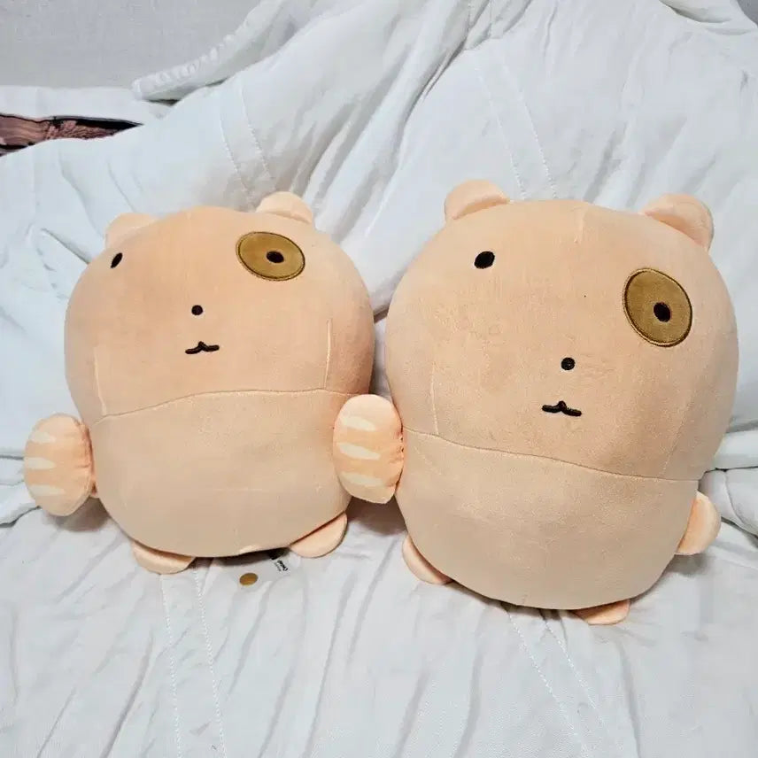 [BUNJANG] New Bread Nuneongyi Plush Doll / 새제품) 빵 눈멍냥이