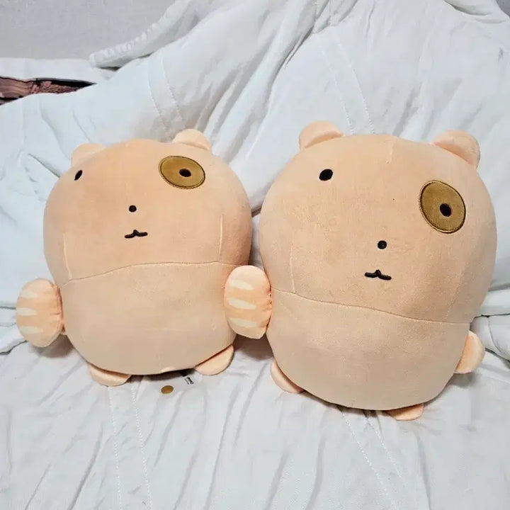 [BUNJANG] New Bread Nuneongyi Plush Doll / 새제품) 빵 눈멍냥이