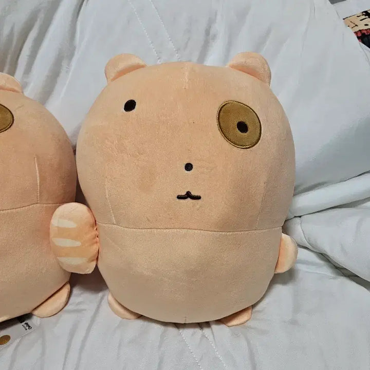 [BUNJANG] New Bread Nuneongyi Plush Doll / 새제품) 빵 눈멍냥이