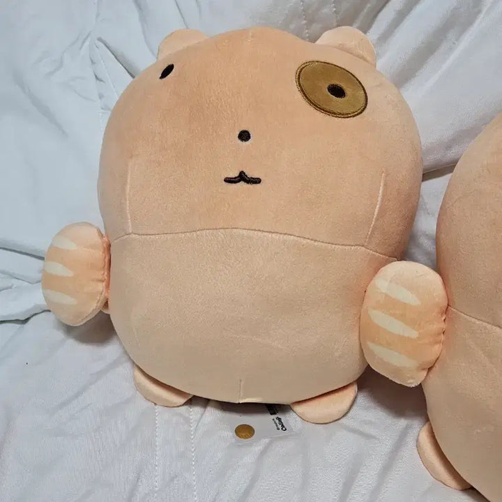 [BUNJANG] New Bread Nuneongyi Plush Doll / 새제품) 빵 눈멍냥이