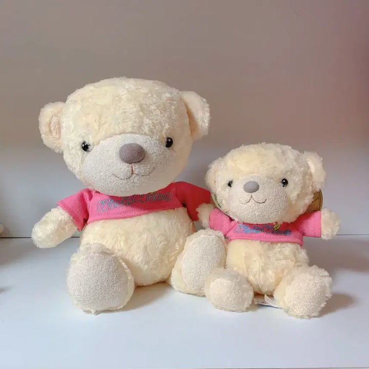[BUNJANG] Aurora World Wish Wings Dolls Set Bundle / 오로라월드 위시윙 인형 두개 세트 일괄