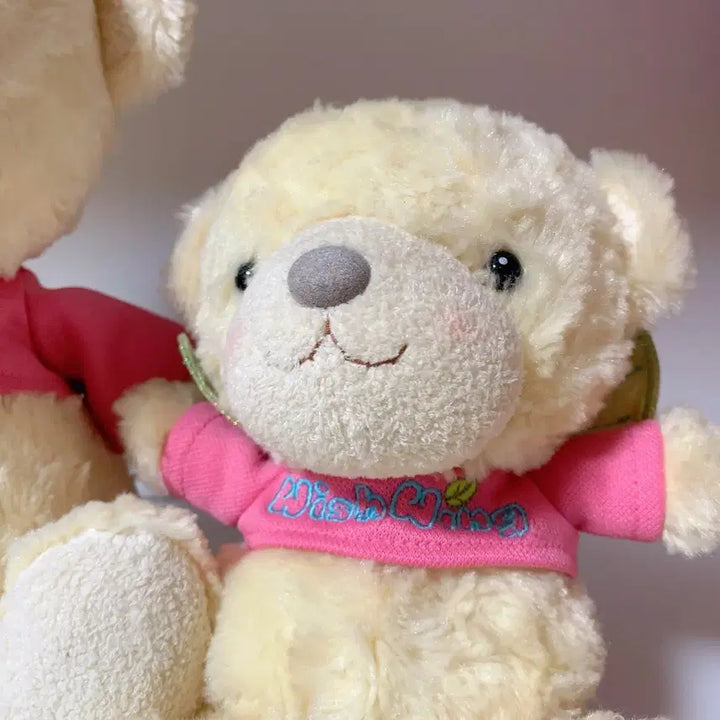 [BUNJANG] Aurora World Wish Wings Dolls Set Bundle / 오로라월드 위시윙 인형 두개 세트 일괄