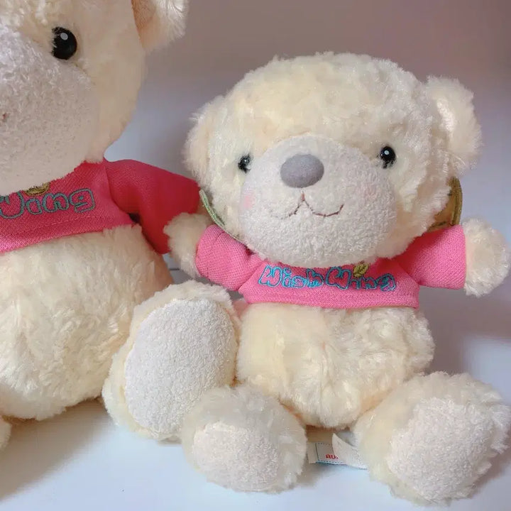 [BUNJANG] Aurora World Wish Wings Dolls Set Bundle / 오로라월드 위시윙 인형 두개 세트 일괄