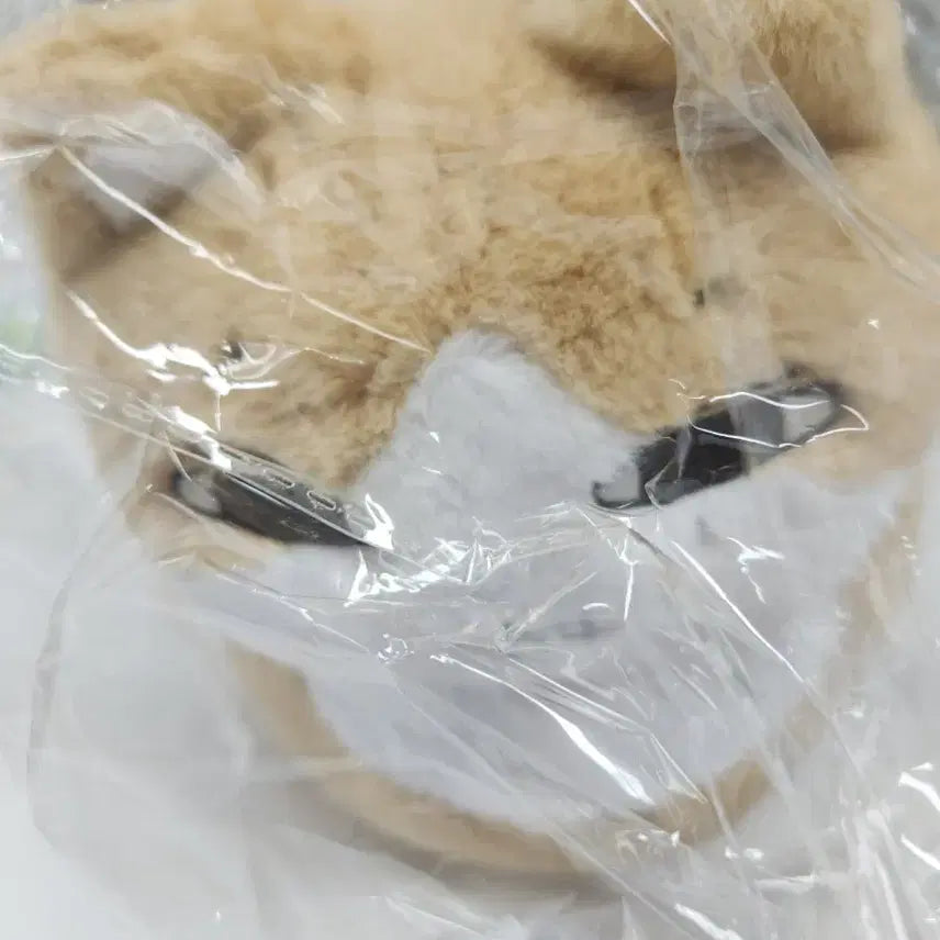 [BUNJANG] SEVENTEEN Jun "Jjoonnyangbbang" Plush Doll / 쭌냥빵 양도 세븐틴 준 인형