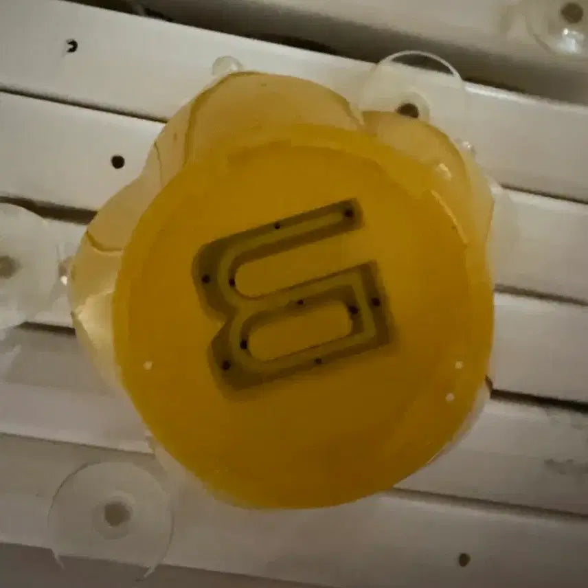 [BUNJANG] BIGBANG Official Lightstick V4 Head / 빅뱅 응원봉 v4 헤드 대가리 bigbang