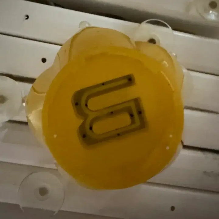 [BUNJANG] BIGBANG Official Lightstick V4 Head / 빅뱅 응원봉 v4 헤드 대가리 bigbang