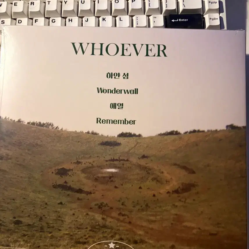 [BUNJANG] Lee Hee Sang WHOEVER LP (Sealed) / 이희상 WHOEVER LP 미개봉