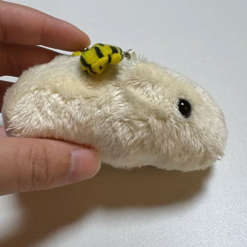 [BUNJANG] Capybara Leopard Ribbon Plush Toy / 정품 카피바라 호피 리본 새상품 판매중