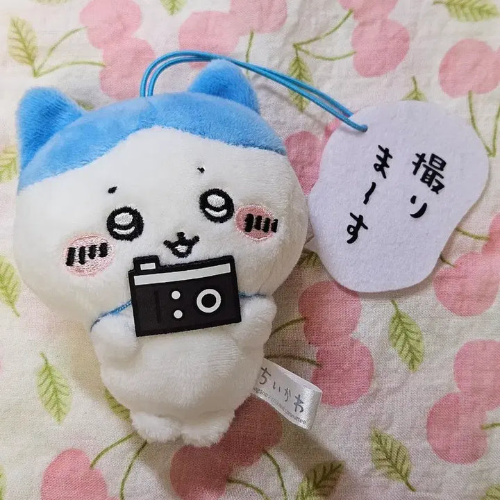 [BUNJANG] Hachiwara Furyu Camera / 하치와레 후류 카메라 판매합니다!