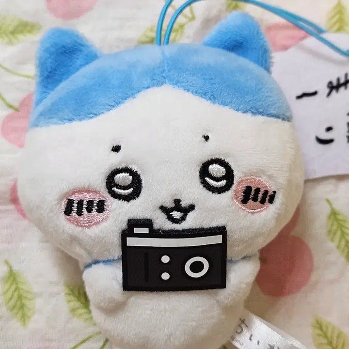 [BUNJANG] Hachiwara Furyu Camera / 하치와레 후류 카메라 판매합니다!