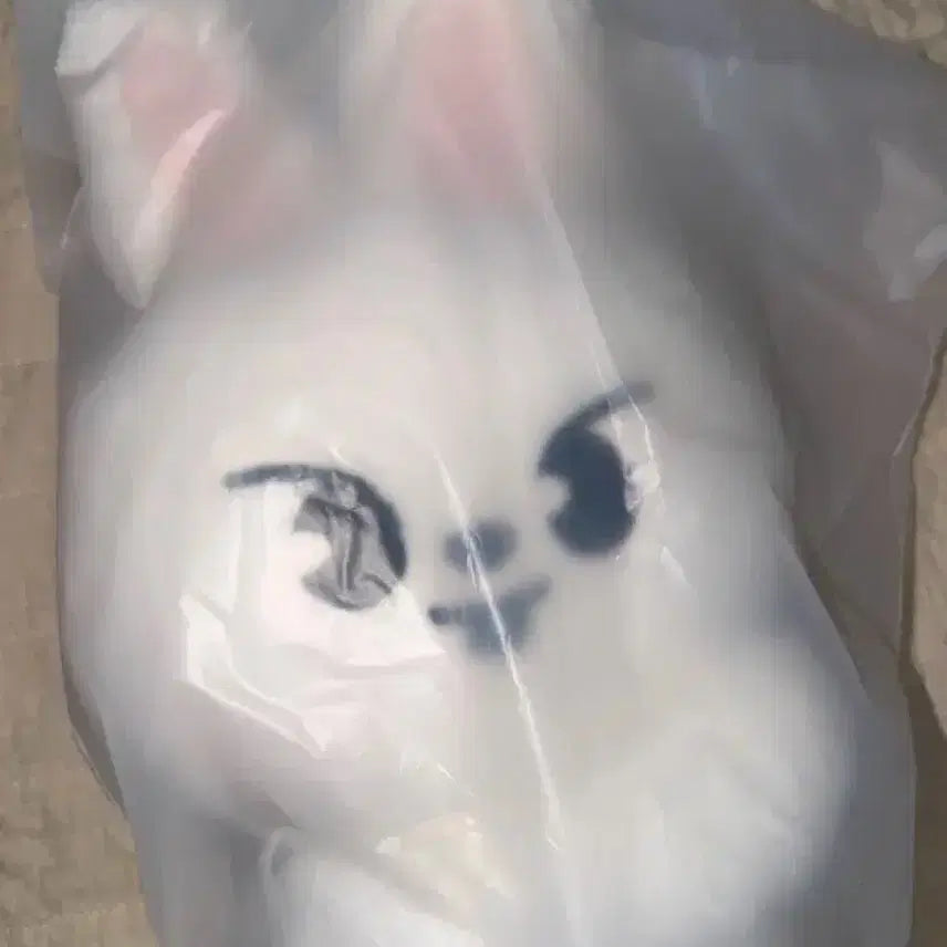 [BUNJANG] Ribbit Plush Bag (Sealed) / 리빗 플러시 백(미개봉)