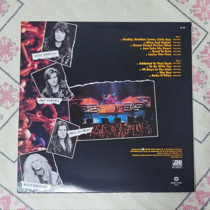 [BUNJANG] Mr. Big LP / 미스터 빅 엘피