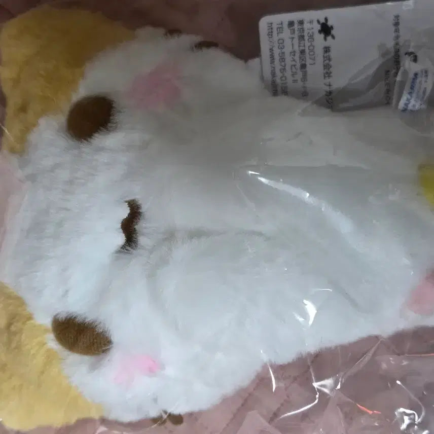 [BUNJANG] Sanrio Fuwafu Mallow S Size / 산리오 후와후와 마슈마로 s 사이즈