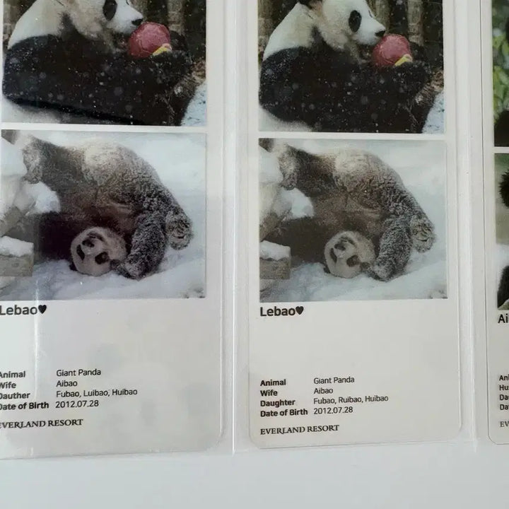 [BUNJANG] Fu Bao Autograph Error Pop-Up Poster / 푸바오 팝업 포스터 오타본 드볼
