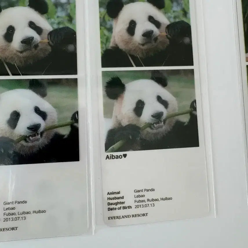 [BUNJANG] Fu Bao Autograph Error Pop-Up Poster / 푸바오 팝업 포스터 오타본 드볼