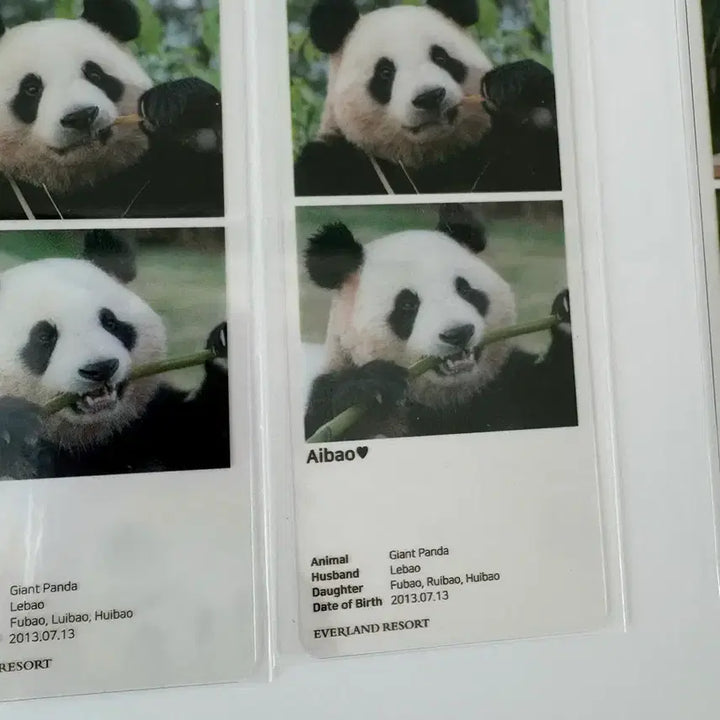 [BUNJANG] Fu Bao Autograph Error Pop-Up Poster / 푸바오 팝업 포스터 오타본 드볼