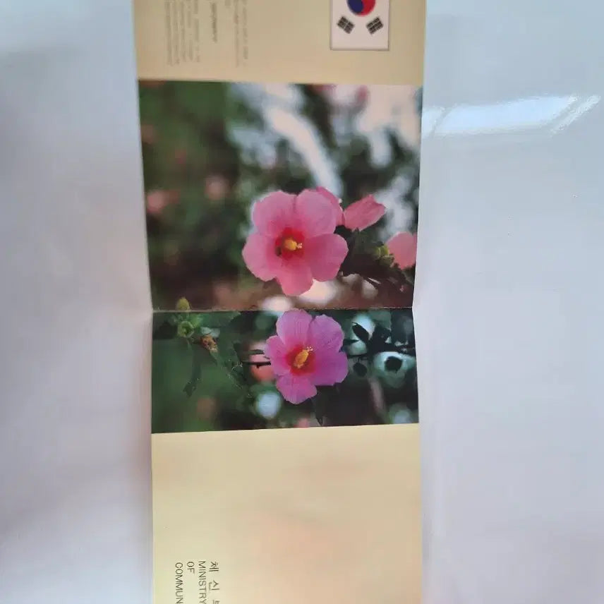 [BUNJANG] 1981 Commemorative Stamp Album / 우표 81년 발행 기념우표첩