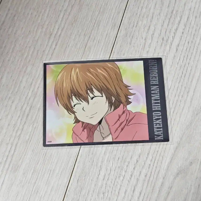 [BUNJANG] Katekyo Hitman Reborn! Highlight Pick Normal 