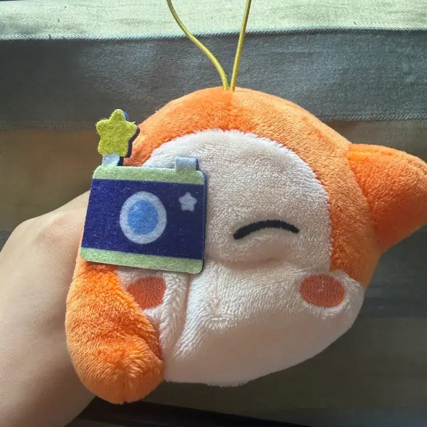 [BUNJANG] Weidly Camera Doll / 웨이들디 카메라 인형