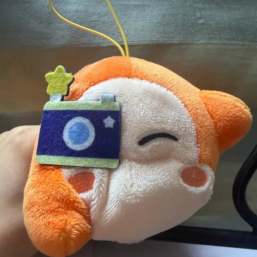 [BUNJANG] Weidly Camera Doll / 웨이들디 카메라 인형