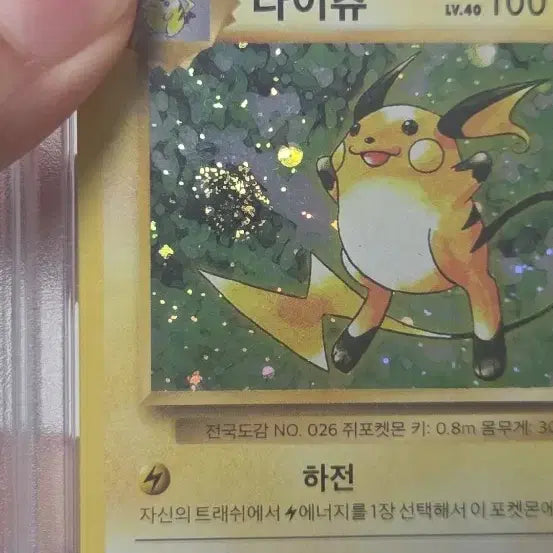 [BUNJANG] 20th Anniversary Raichu PSA 8 / 스월있는 20주년 라이츄 PSA8 급처 합니다