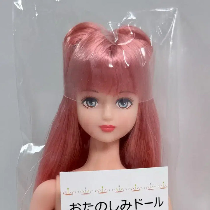 [BUNJANG] Ricacastle Shion Unsealed / 리카캐슬 시온
