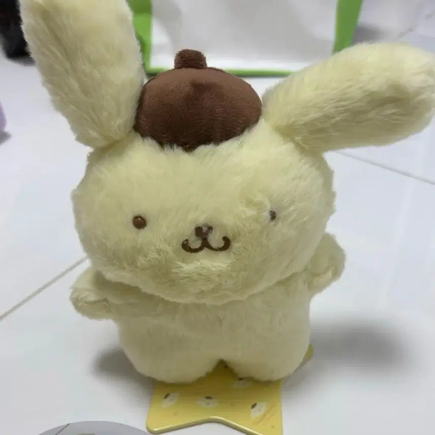 [BUNJANG] Pompompurin Pitatto M Plush / 폼폼푸린 피탓토 M