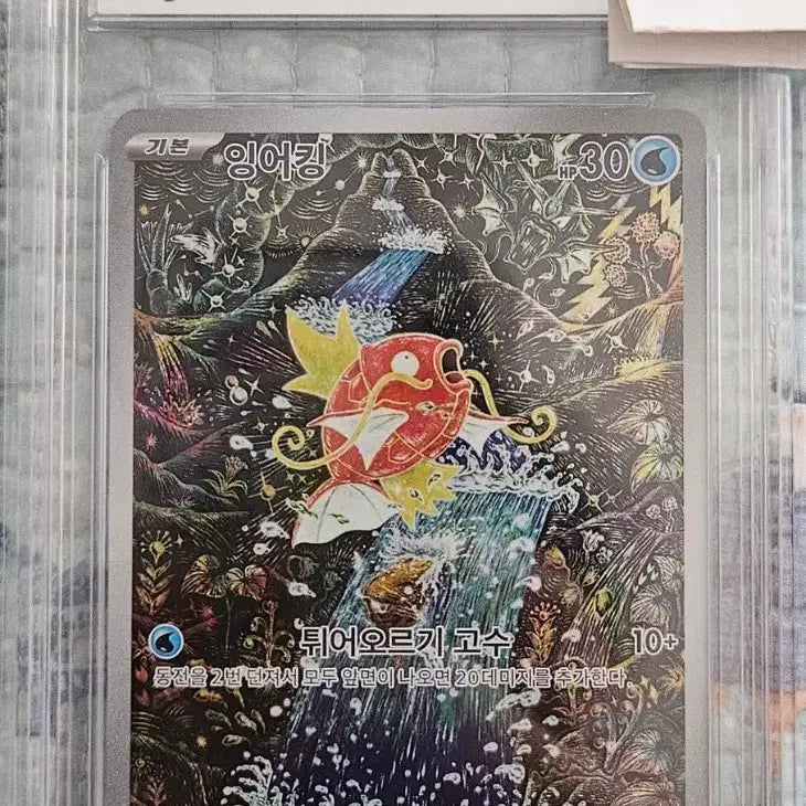 [BUNJANG] Shinjikanda Magikarp BRG10 / 신지칸다 잉어킹 brg10