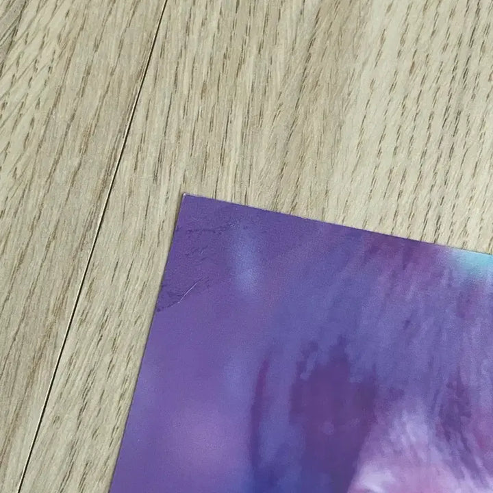 [BUNJANG] Jane (2017) Poster and Postcard Set / 꿈의 제인 2017 포스터 엽서 굿즈