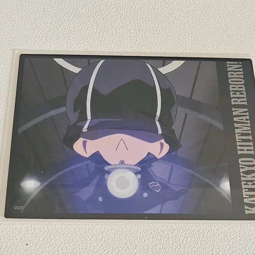 [BUNJANG] Katekyou Hitman Reborn! Highlight Pic Normal Card 