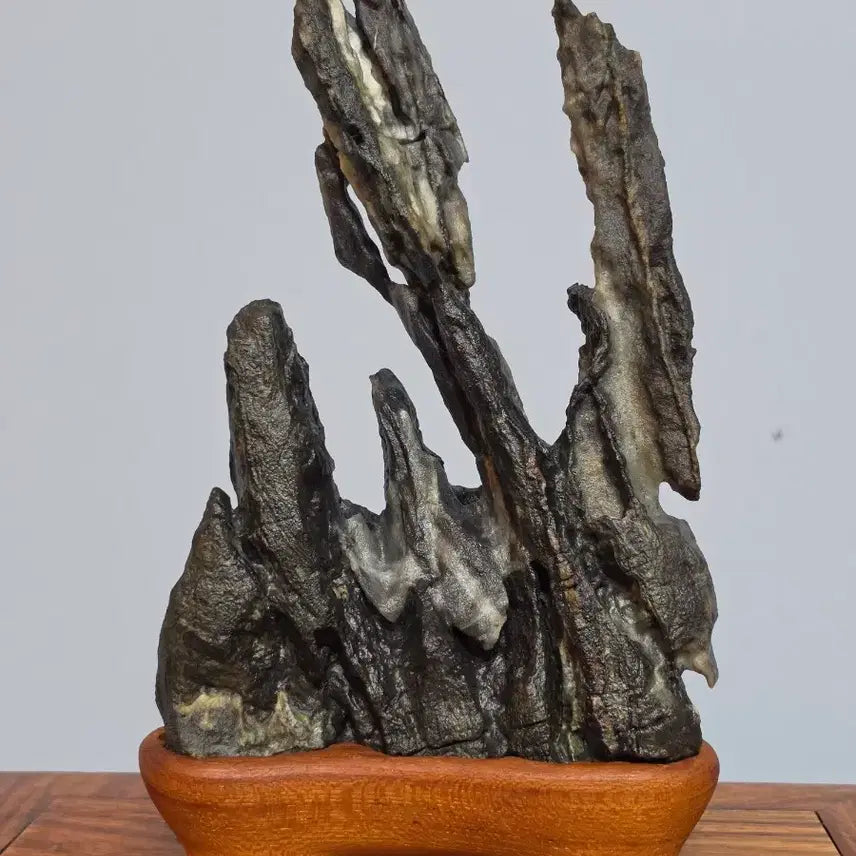 [BUNJANG] Hakheonri Scholar Stone - High-Quality Viewing Stone with Excellent Texture and Transformation / 26093012 석질이 좋고 관통과 변화가 환상적인 학현리 작품석 수석 팝니다