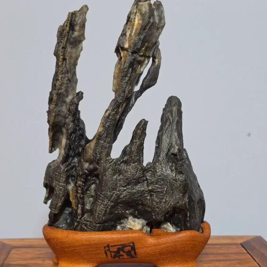 [BUNJANG] Hakheonri Scholar Stone - High-Quality Viewing Stone with Excellent Texture and Transformation / 26093012 석질이 좋고 관통과 변화가 환상적인 학현리 작품석 수석 팝니다