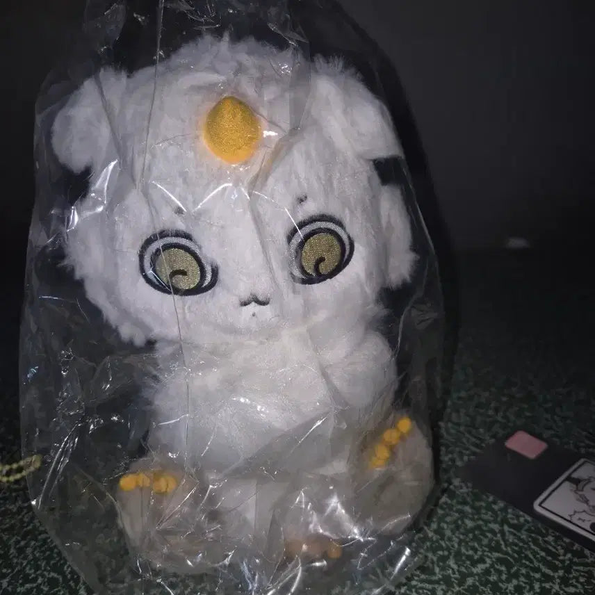 [BUNJANG] Chiikawa Anoko Big Plush / 치이카와 아노코 빅누이