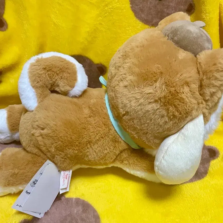 [BUNJANG] Pompompurin Shiba Inu Plush / 폼폼푸린 시바견 누이