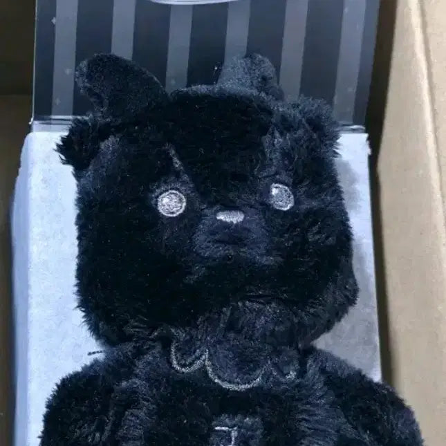 [BUNJANG] RIIZE Sungchan Doll Bundle Set / 라이즈 성찬 인형 일괄 양도