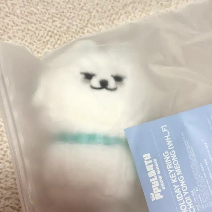 [BUNJANG] TXT Choi Yeonjun Holiday Keyring / 뿔바투 홀리데이 키링 최용멍 (WH_F) sell