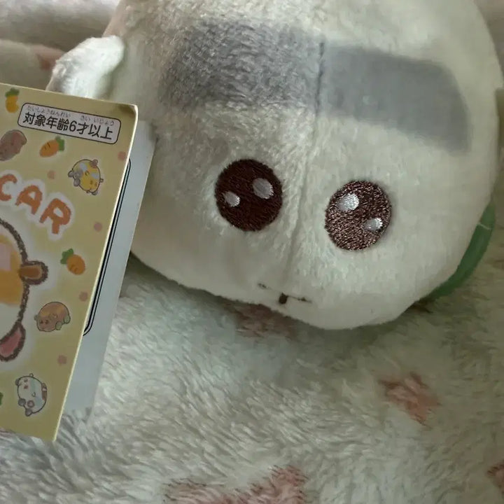 [BUNJANG] Sanrio Shiro Mo Moruka Pencil Case / 산리오 시로모 모루카 필통